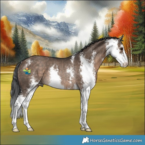 Horse Color:Brown Dun Sabino Rabicano 