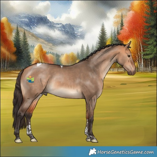 Horse Color:Bay Dun Tobiano Rabicano 