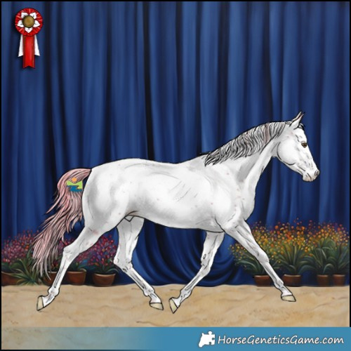 Horse Color:Watercolor Liver Chestnut Sabino Appaloosa Rabicano