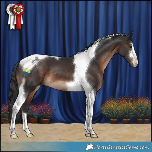 Horse Color:Brown Tobiano 