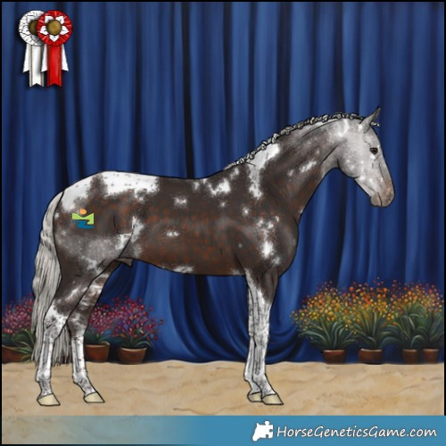 Horse Color:White Spotted Silver Brown Tobiano 