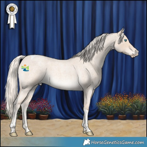 Horse Color:Cremello Roan Tobiano 