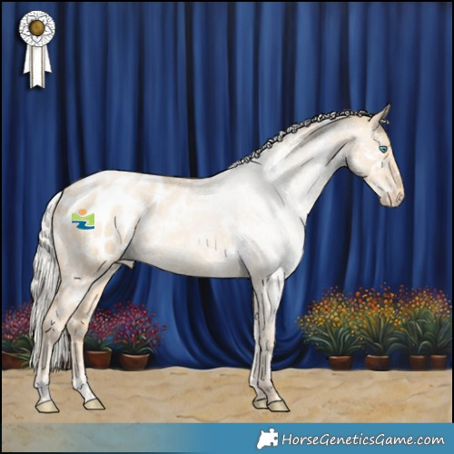 Horse Color:White Spotted Silver Buckskin Roan Pearl Dun Appaloosa 