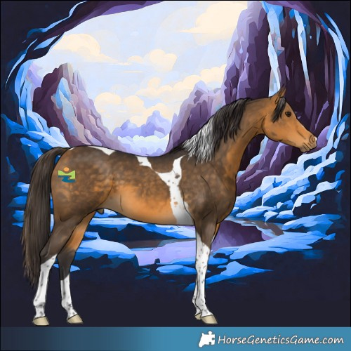Horse Color:Buckskin Tobiano 