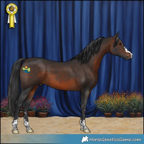 Horse Color:Brown 