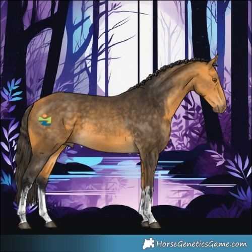 Horse Color:White Spotted Buckskin 