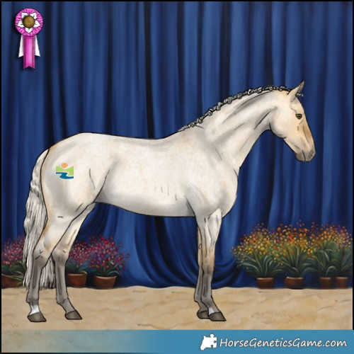 Horse Color:Silver Buckskin Roan Dun 