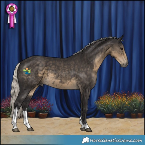 Horse Color:White Spotted Silver Smoky Black 