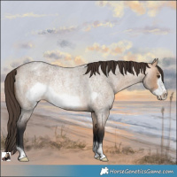 Horse Color:Bay Roan Dun Frame Varnish Rabicano 