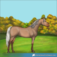 Horse Color:Silver Bay Dun 