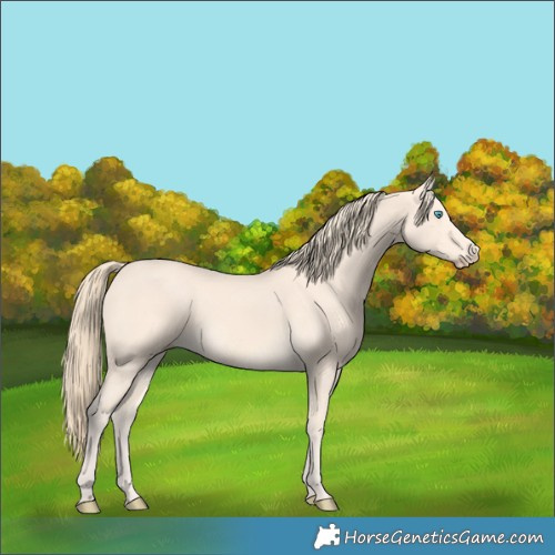Horse Color:Perlino 