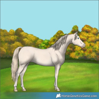 Horse Color:Perlino 