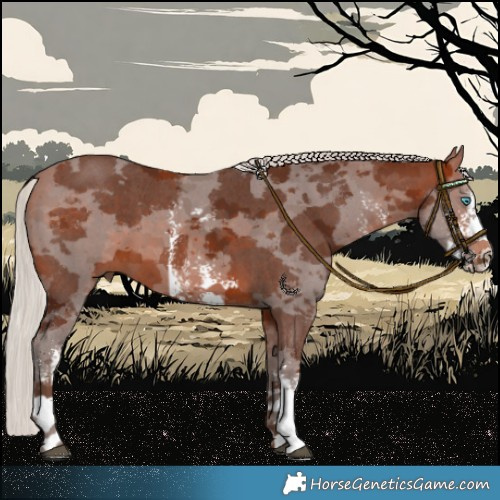 Horse Color:Silver Bay Merle Sabino 