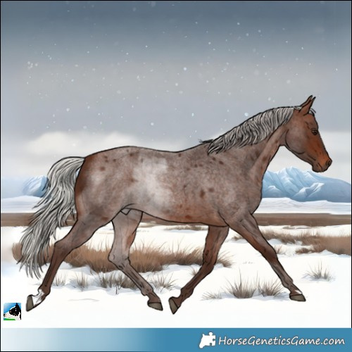 Horse Color:Silver Brown Roan