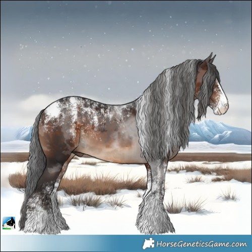 Horse Color:Powder White Brown Merle