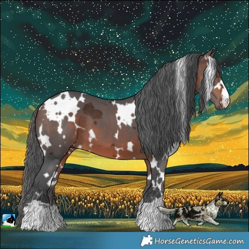 Horse Color:White Spotted Brown Merle