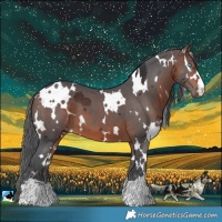 Horse Color:White Spotted Brown Merle 