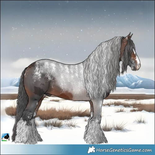 Horse Color:Powder White Brown Merle 