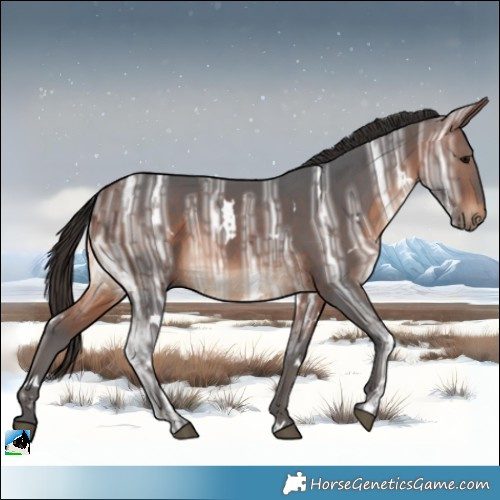 Horse Color:White Spotted Bay Ice
