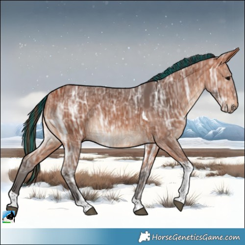 Horse Color:Painted Bay Ice Tobiano 