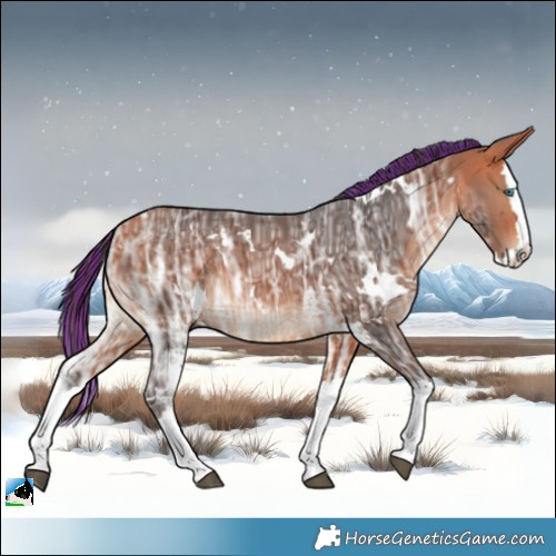 Horse Color:Painted White Spotted Bay Ice Splash Rabicano 