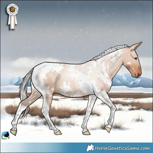 Horse Color:White Spotted Silver Bay Dun Tobiano 
