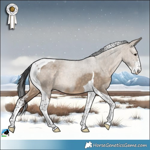 Horse Color:Brown Dun Sabino Tobiano 