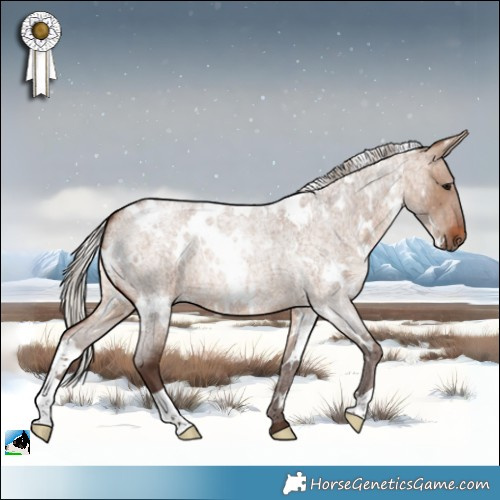 Horse Color:White Spotted Silver Brown Roan Dun 