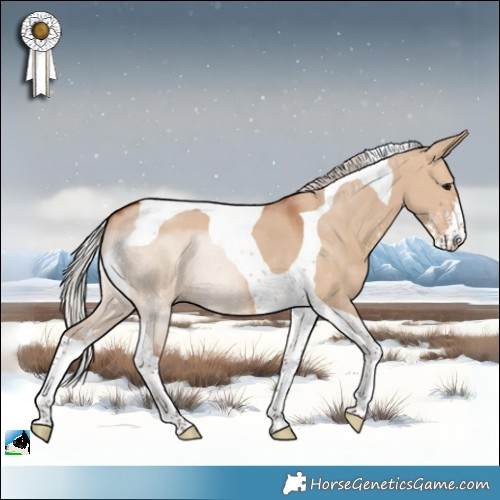 Horse Color:Silver Brown Dun Sabino Tobiano 
