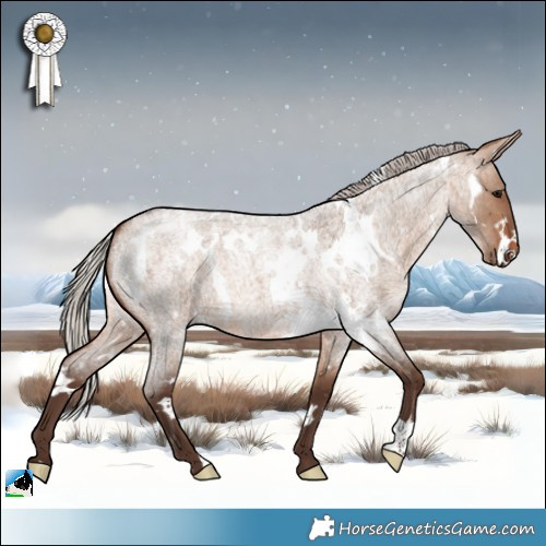 Horse Color:White Spotted Silver Brown Roan Dun 