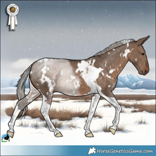 Horse Color:White Spotted Silver Brown Dun Tobiano 
