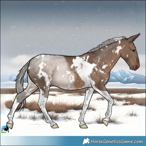 Horse Color:White Spotted Silver Brown Dun Tobiano