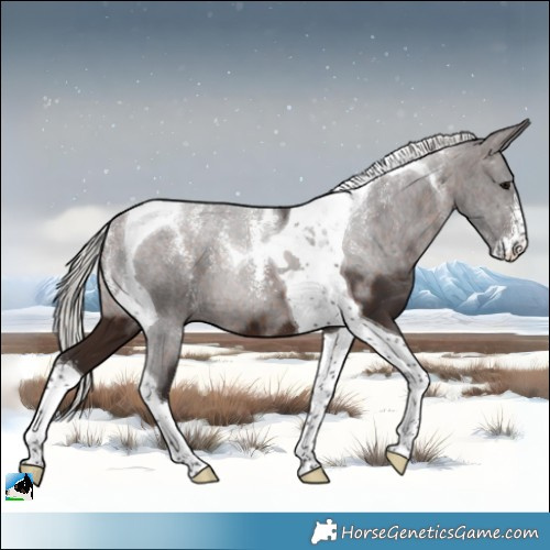 Horse Color:Powder White Silver Brown Tobiano 