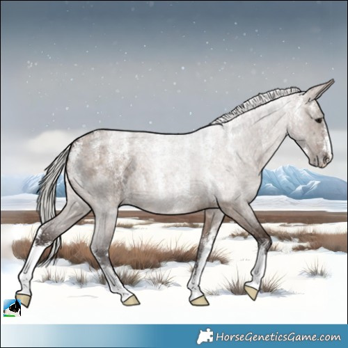 Horse Color:Powder White Silver Brown Roan Dun 