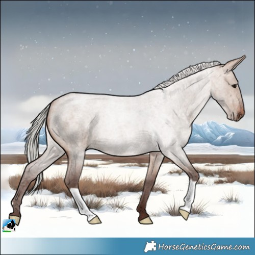 Horse Color:Silver Bay Roan Dun 