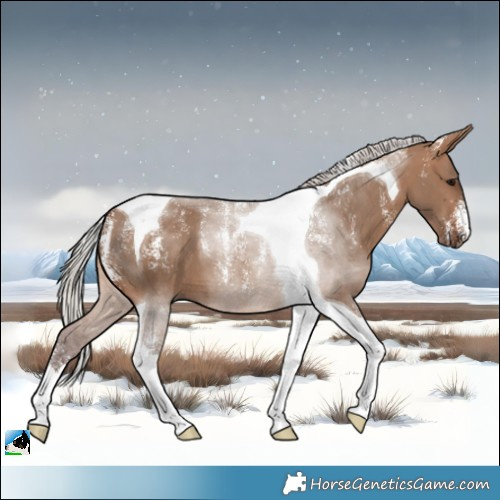 Horse Color:Powder White Silver Brown Dun Tobiano 