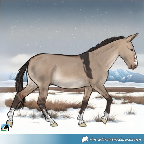 Horse Color:Bay Dun Rabicano 