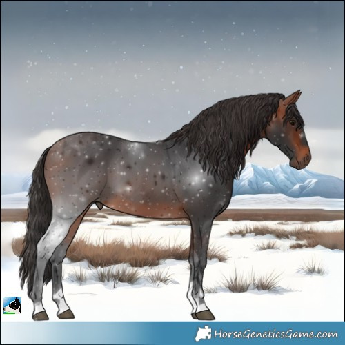 Horse Color:Bay Tobiano 
