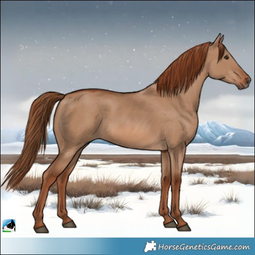 Horse Color:Red Dun Rabicano 
