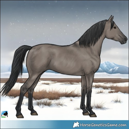 Horse Color:Grullo Rabicano 