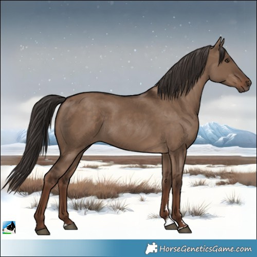 Horse Color:Liver Red Dun Rabicano 
