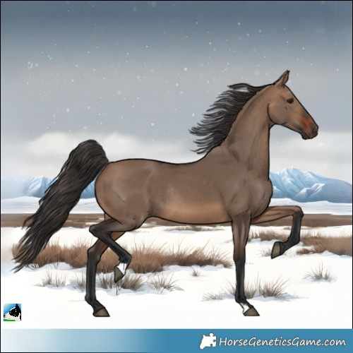 Horse Color:Brown Dun Rabicano 