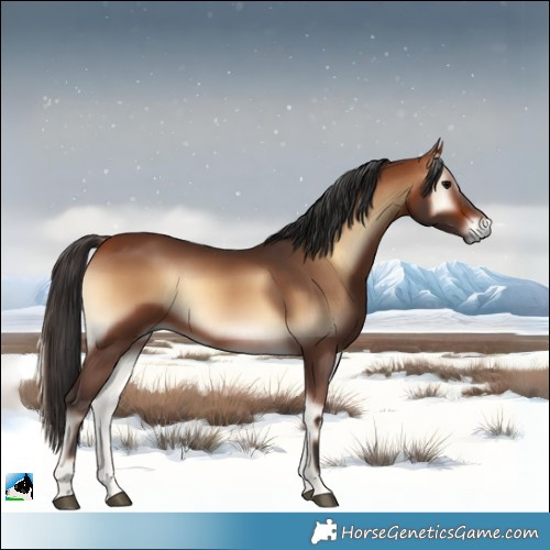 Horse Color:Bay Onyx 