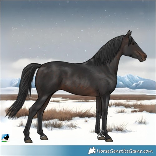 Horse Color:Brown 