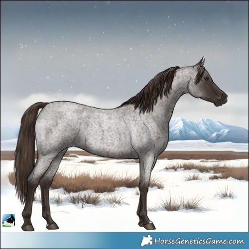Horse Color:Liver Red Roan Rabicano 