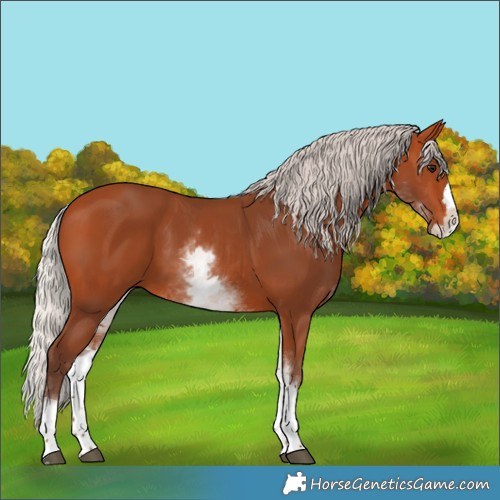 Horse Color:White Spotted Silver Bay Splash 