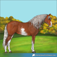 Horse Color:White Spotted Silver Bay Splash 