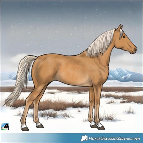 Horse Color:Palomino 