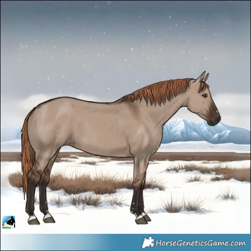 Horse Color:Liver Red Dun 