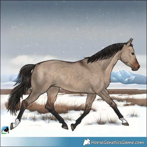 Horse Color:Brown Dun Rabicano 